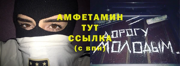 индика Чердынь